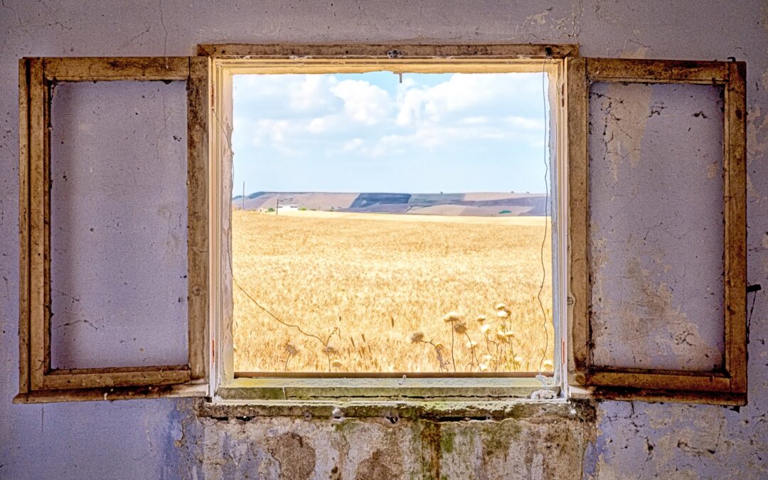 The Lilley Museum of Art presents Home Truth: Image-Making in Absence, a new solo exhibition from Steven Seidenberg on the afterlives of lived spaces
