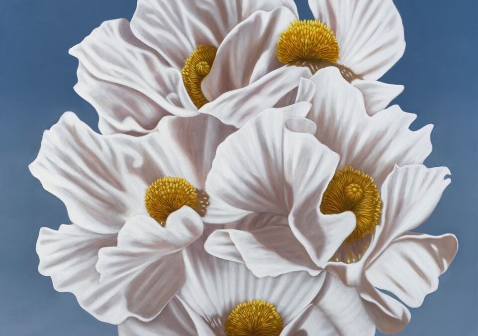 Seed: A new exhibition at Andra Norris Gallery, curated by Elizabeth Barlow and Andra Norris, explores flowers as symbols of transformation